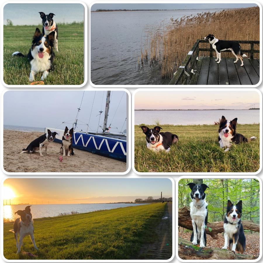 Holiday home Riverside-lemmer *